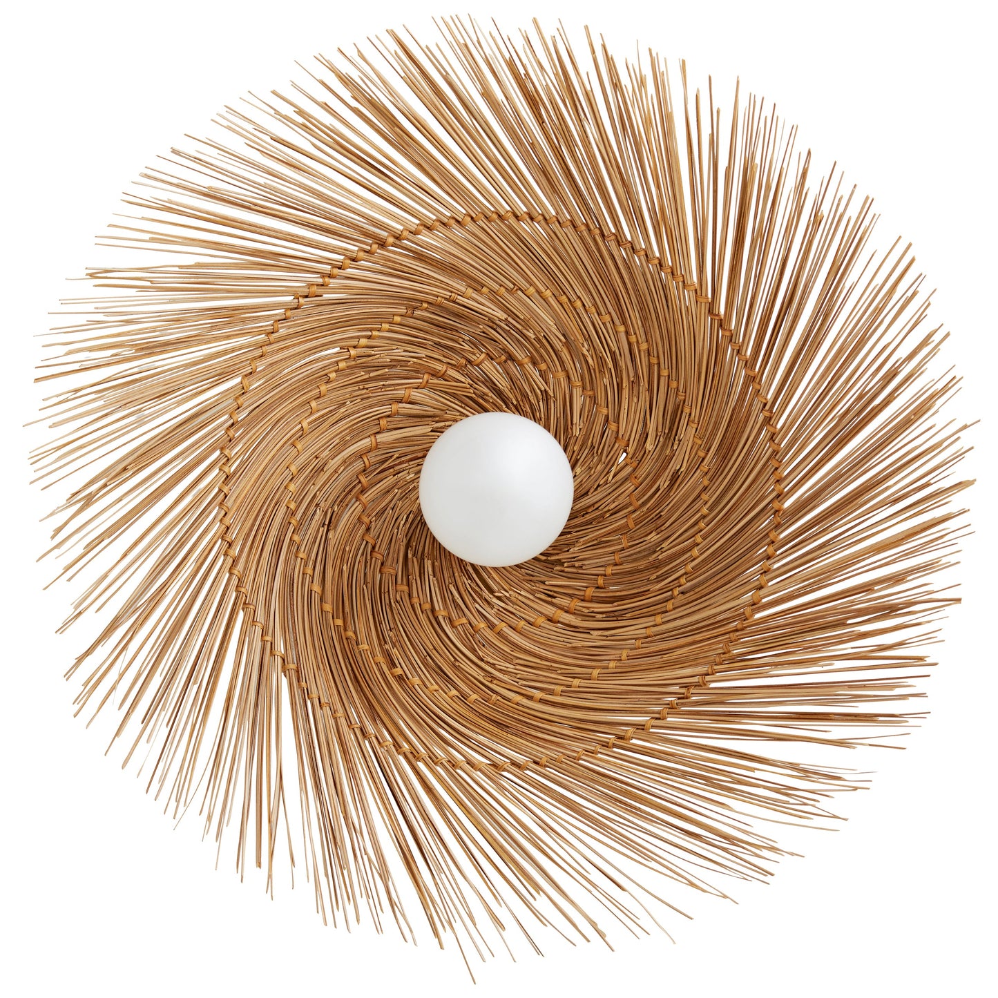 Hayes Wall / Ceiling Light
