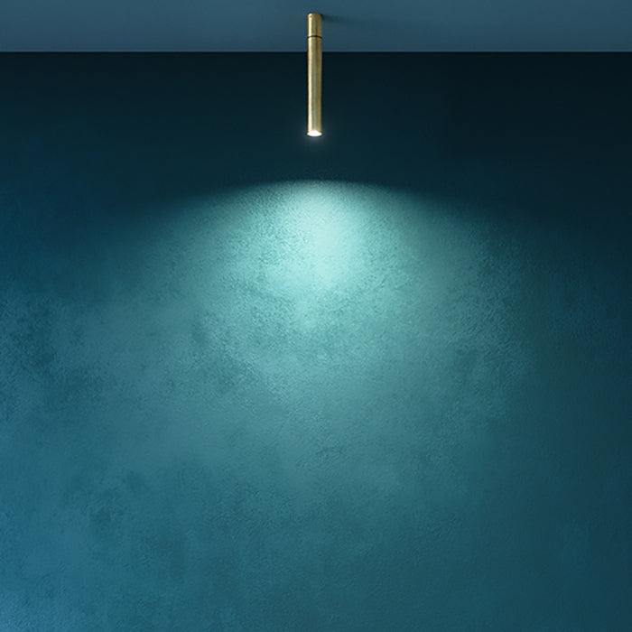 Ego Wall/Ceiling Light