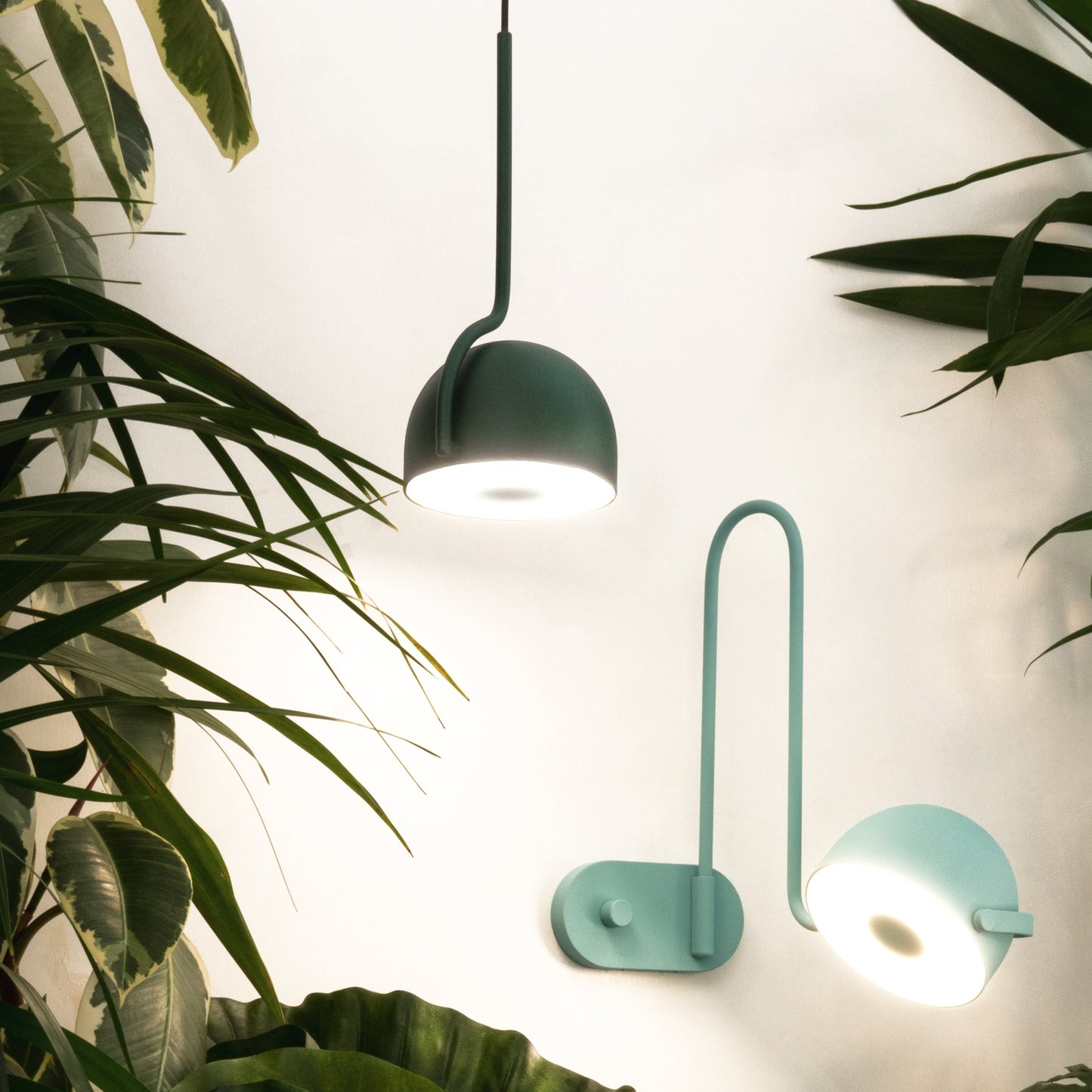 Bowee W1 Wall Sconce