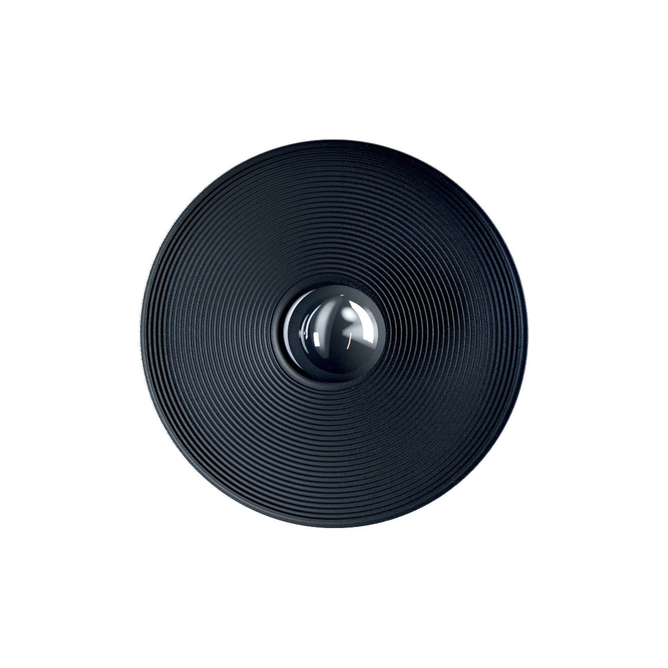 Vinyl Wall / Ceiling Light