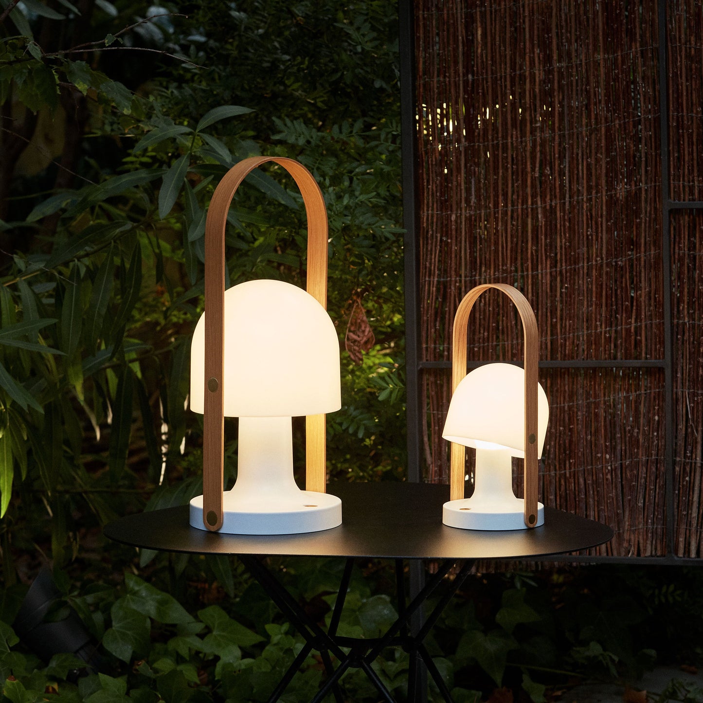 FollowMe Plus Indoor/Outdoor Portable Lamp