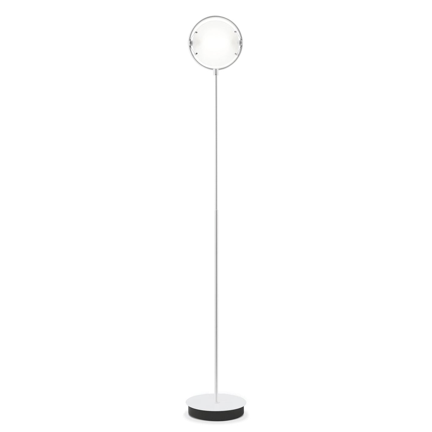 Nobi Floor Lamp