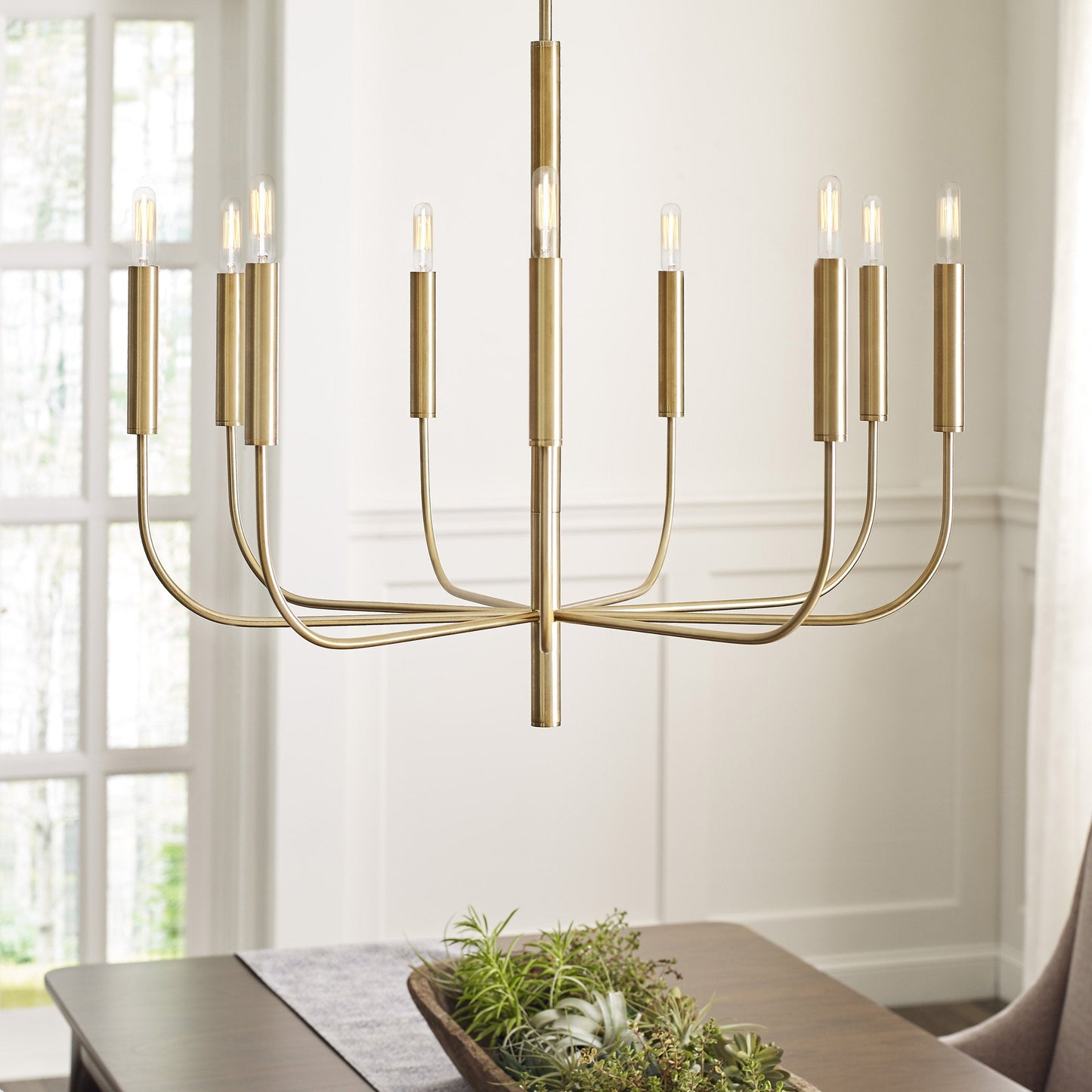 ED Ellen DeGeneres Brianna Chandelier