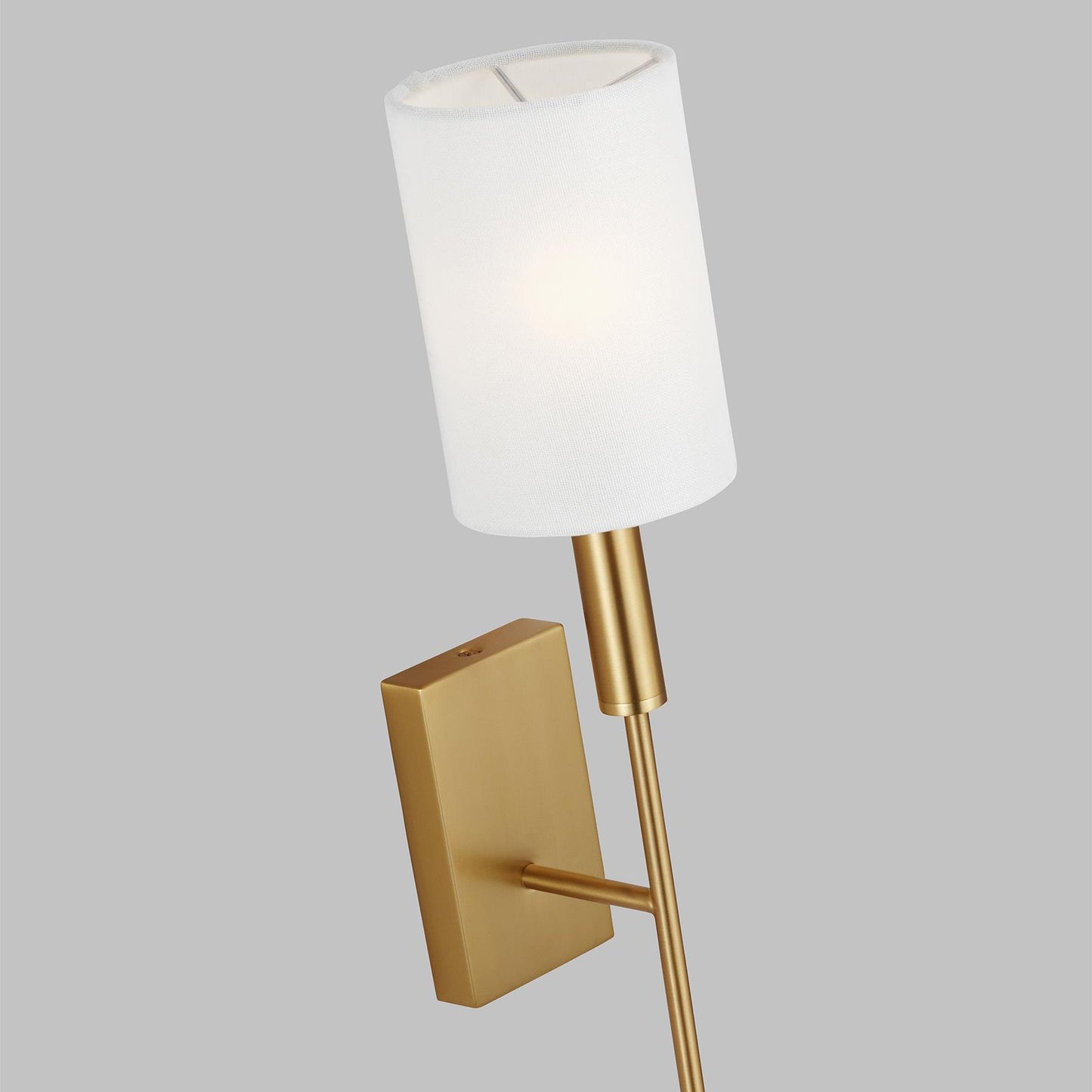 ED Ellen DeGeneres Brianna Tail Wall Sconce