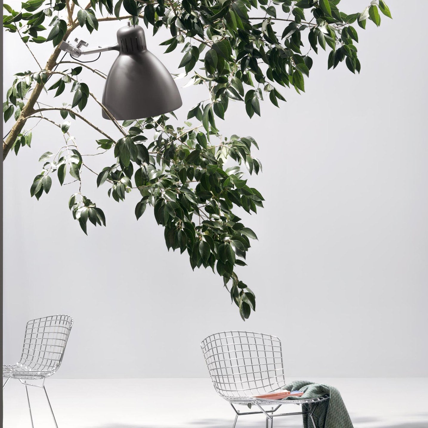 JJ Big Grip Outdoor Light