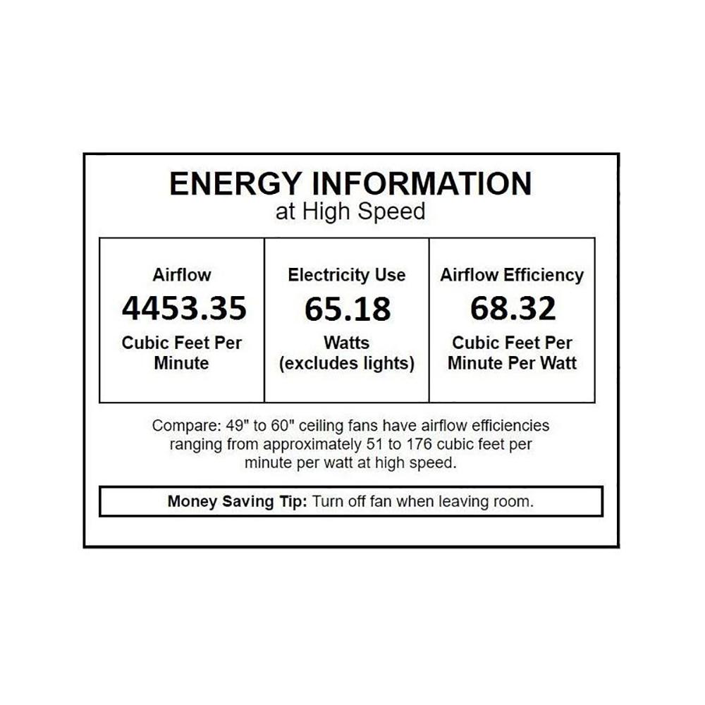 Light Wave Ceiling Fan