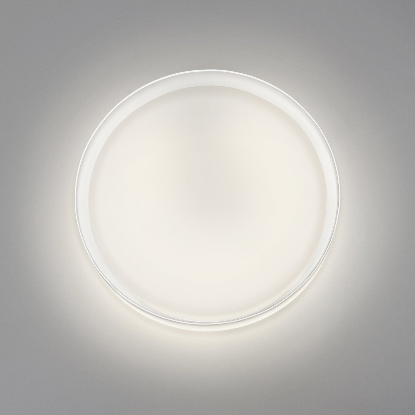 Mint Wall / Ceiling Light