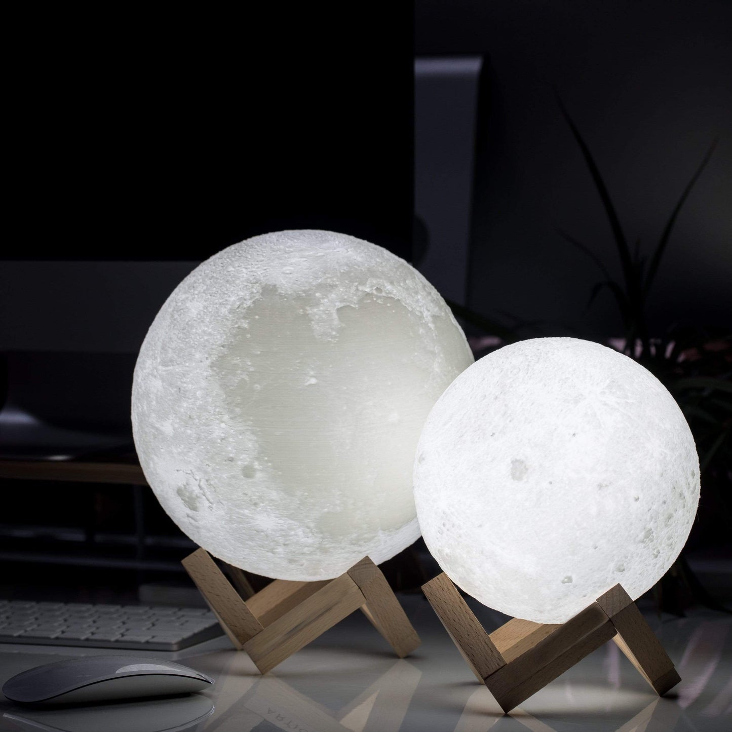 Lume Moon Light