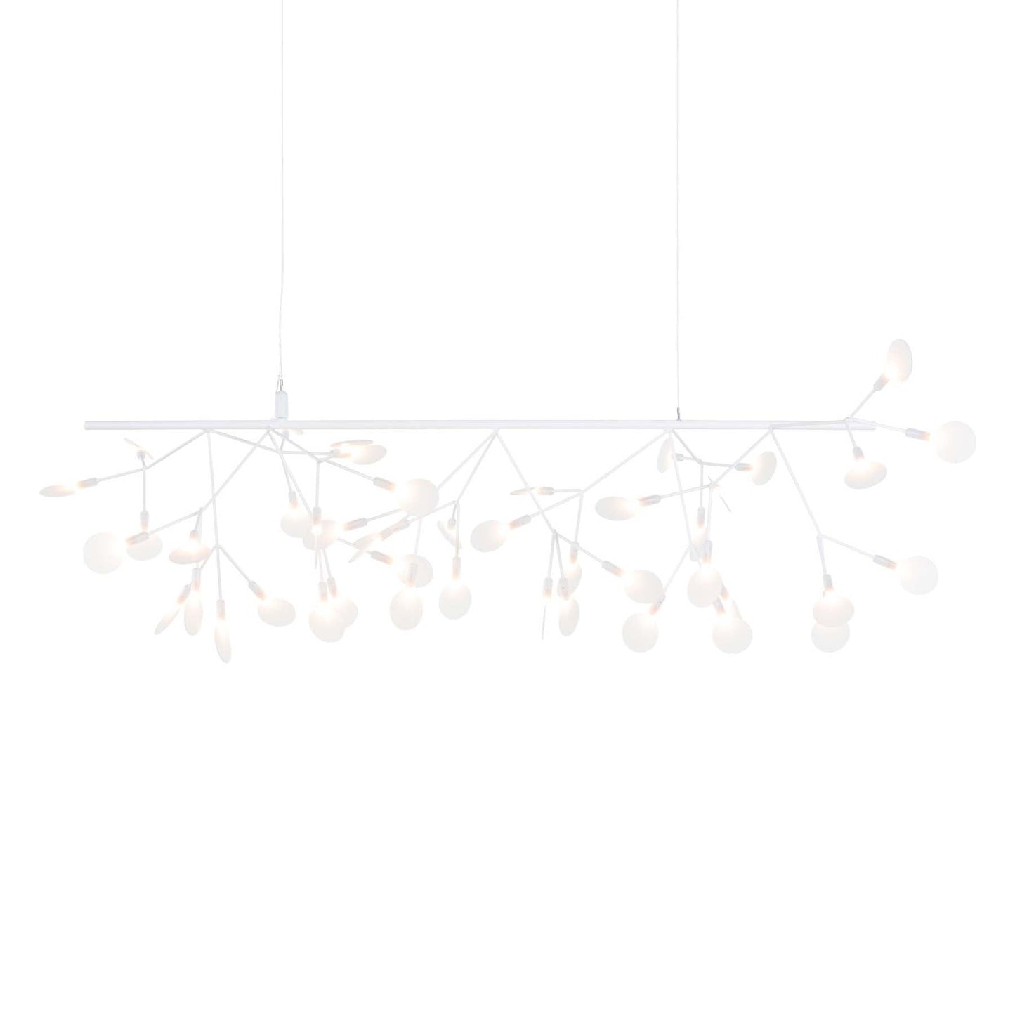 Heracleum Endless Bends