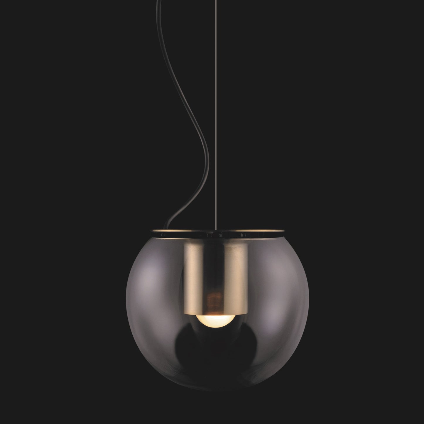 The Globe Pendant Light