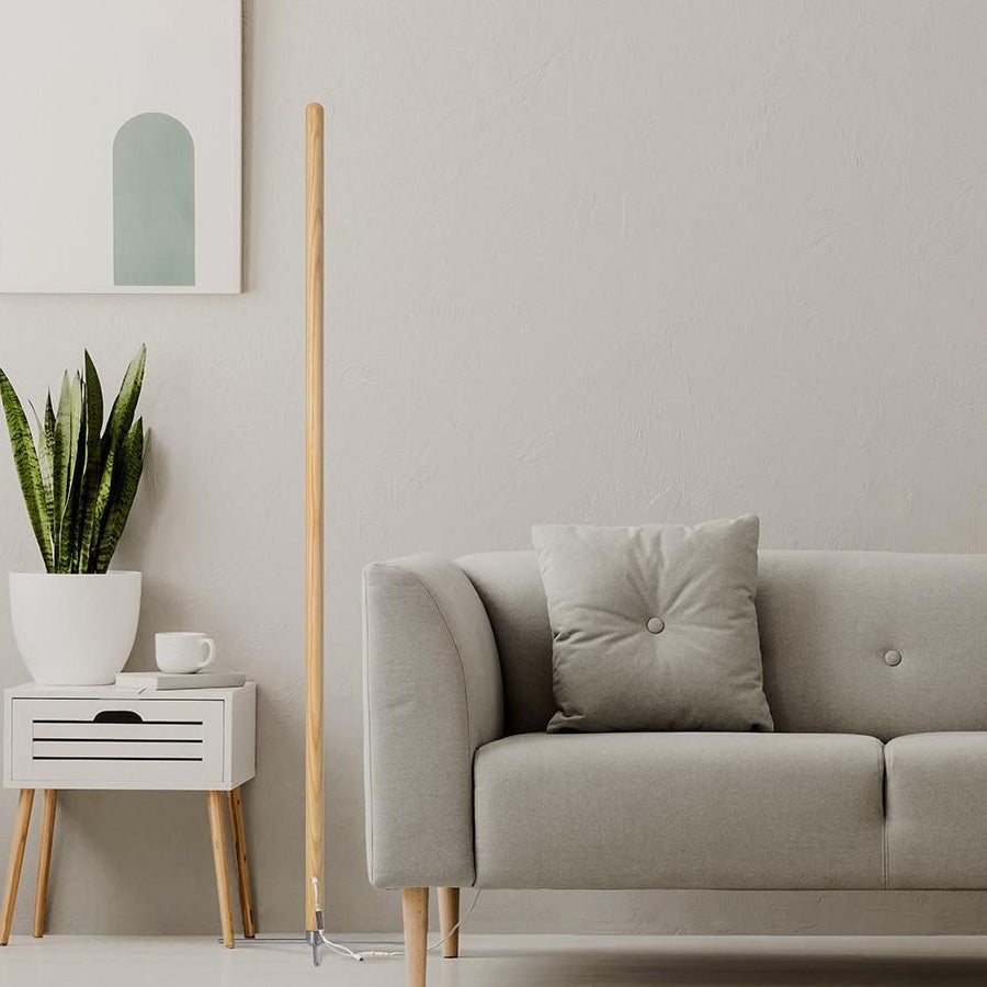 Briscoe Ambient Floor Lamp