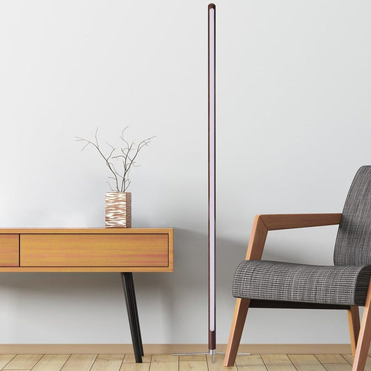 Briscoe Ambient Floor Lamp
