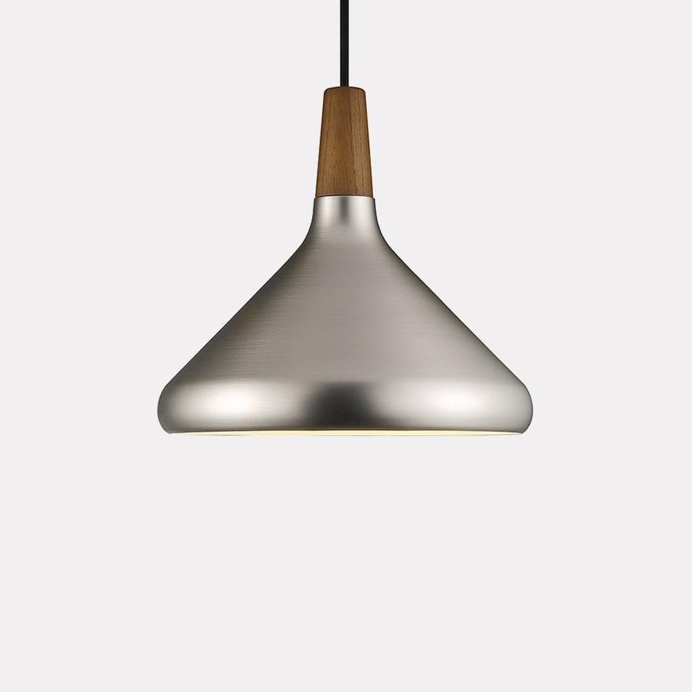 Obasi Metallic Retro Pendant Light