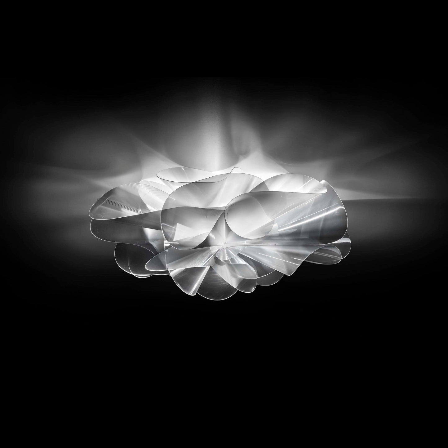 Etoile Ceiling Wall Sconce