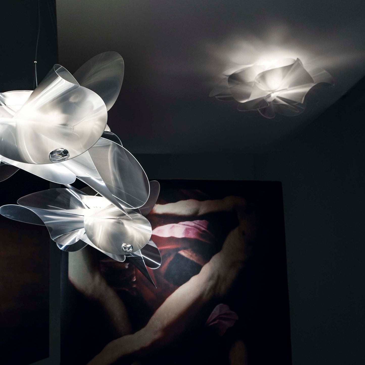 Etoile Ceiling Wall Sconce