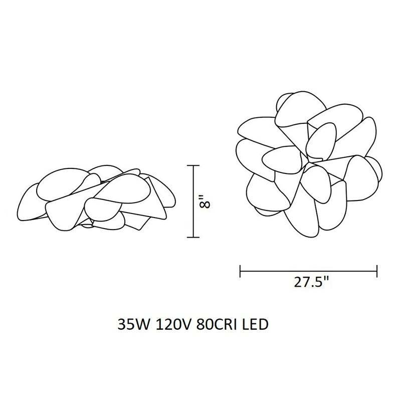 Etoile Ceiling Wall Sconce
