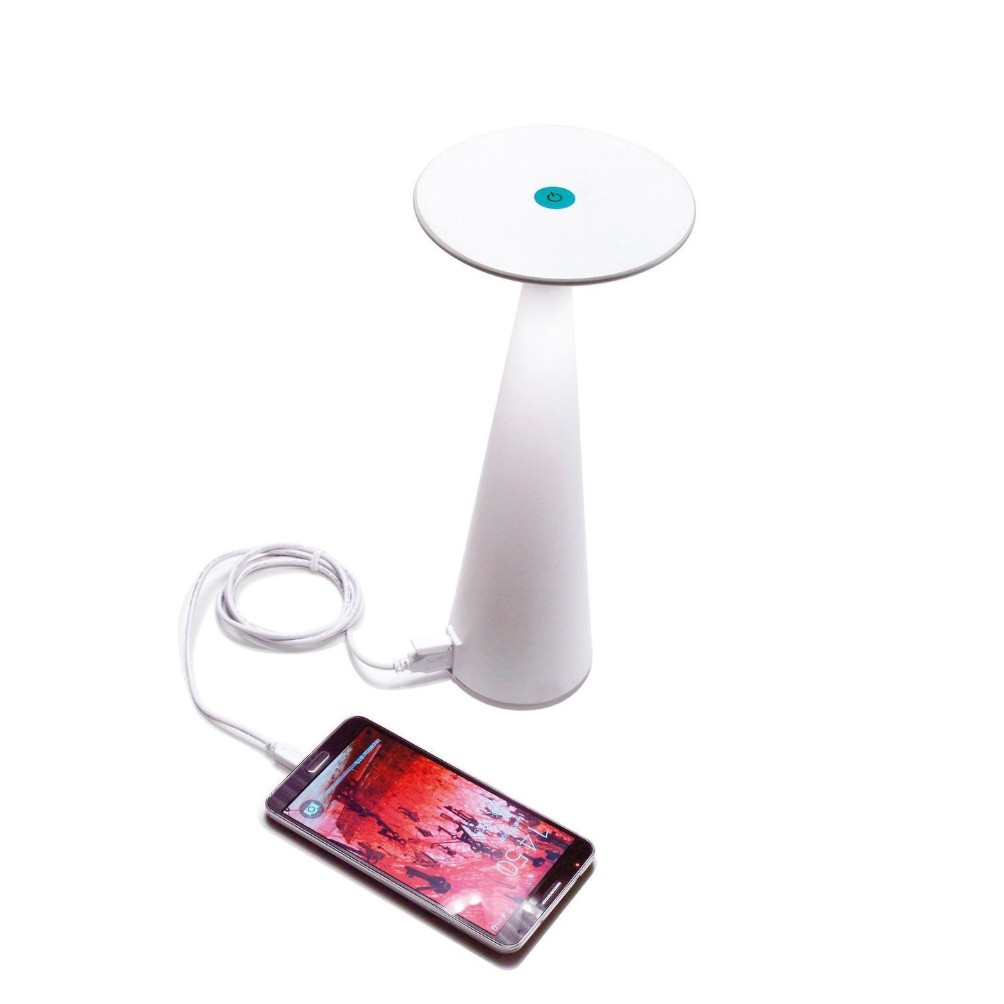 Dama Table Lamp