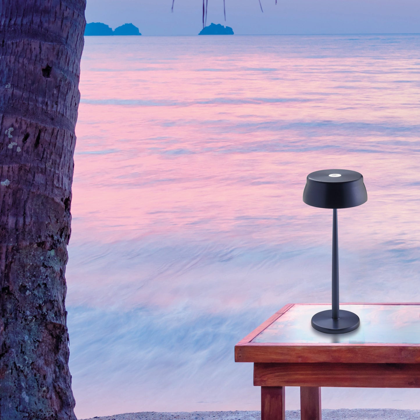 Sister Outdoor Portable Table Lamp