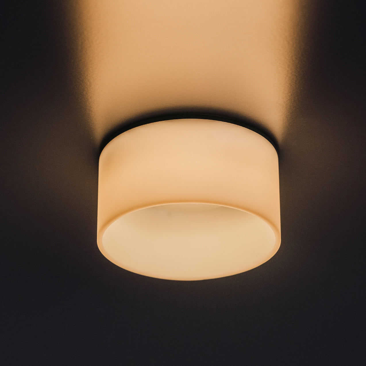 HeadHat Plate Pendant Light