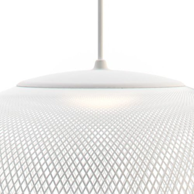 NR2 Pendant Light