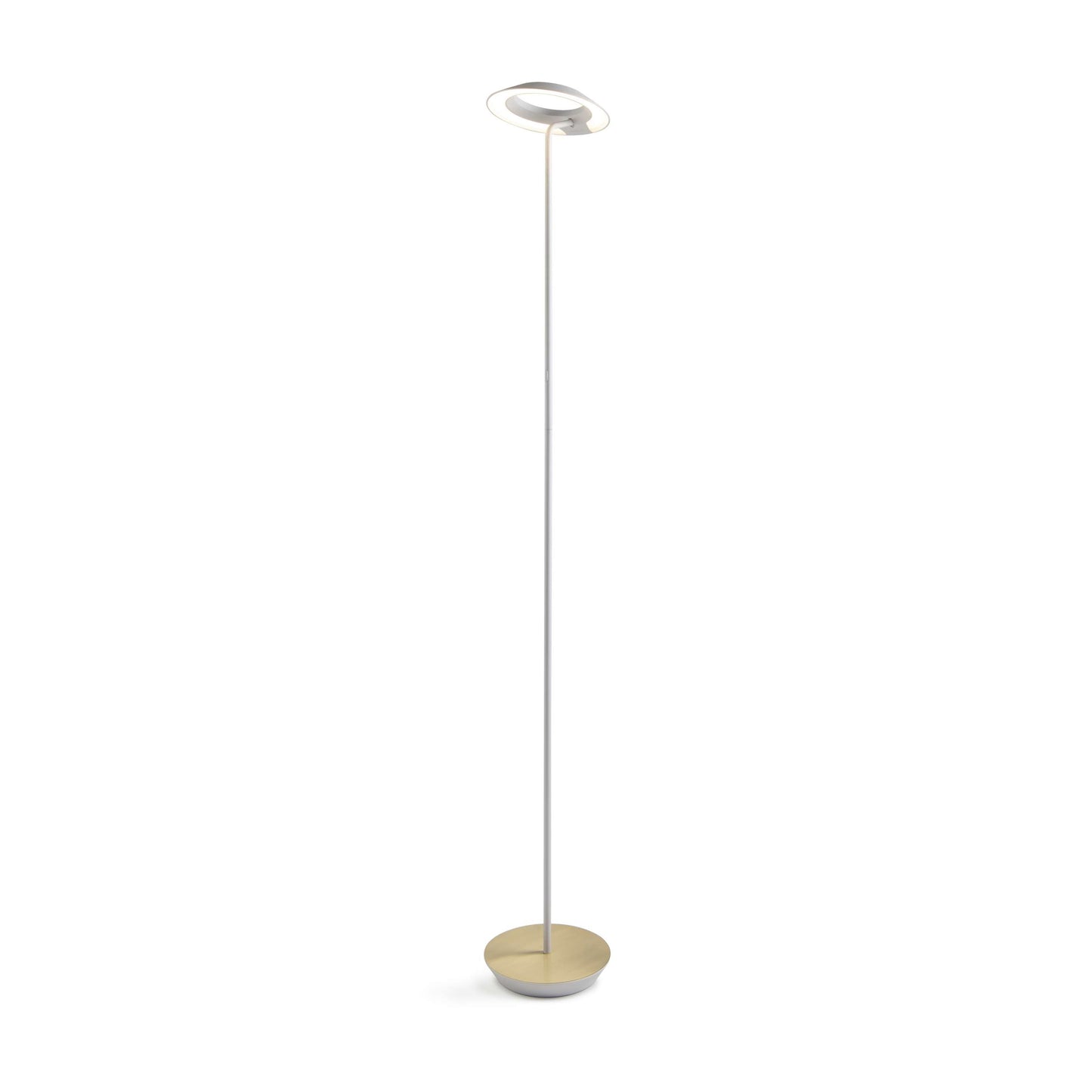 Royyo Floor Lamp