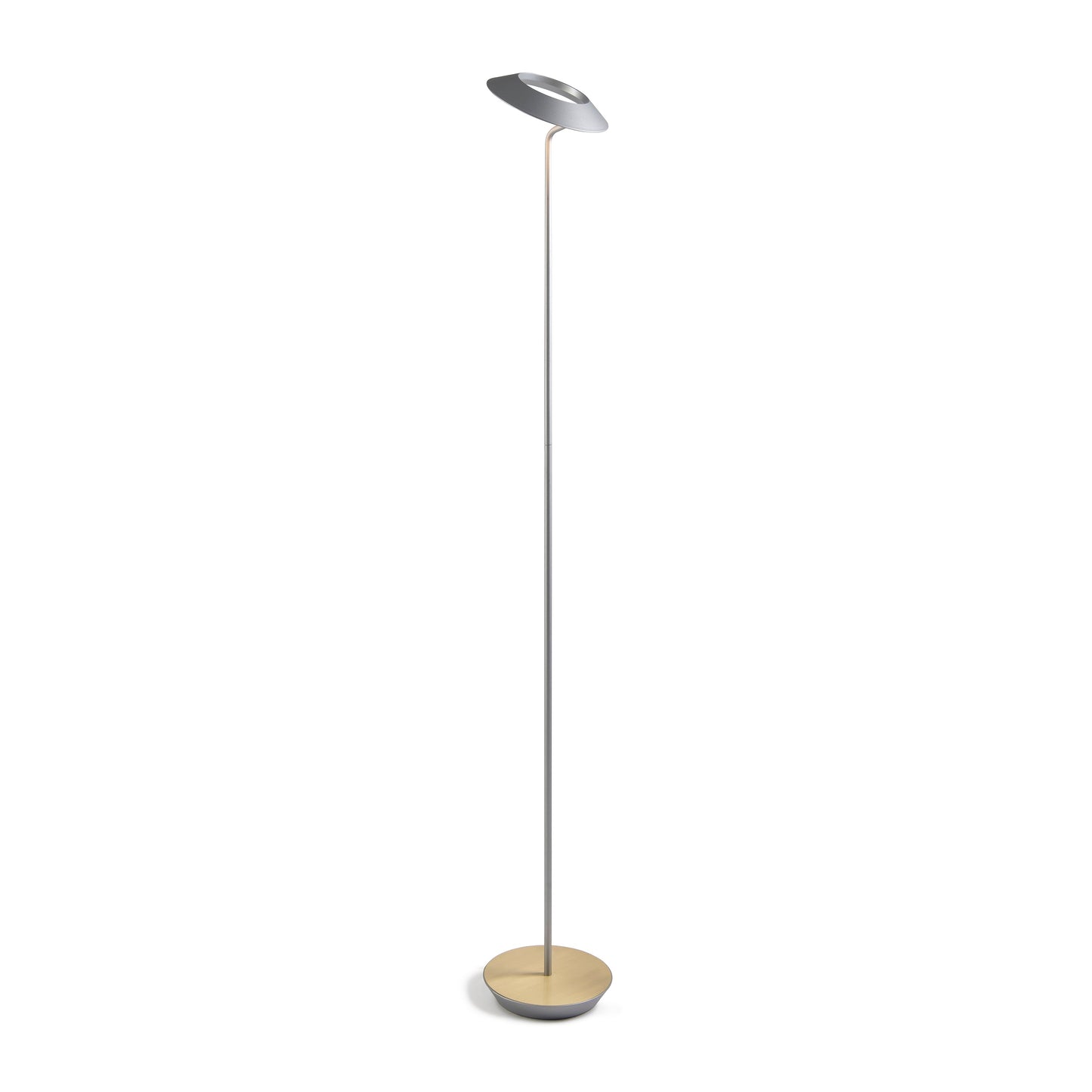 Royyo Floor Lamp