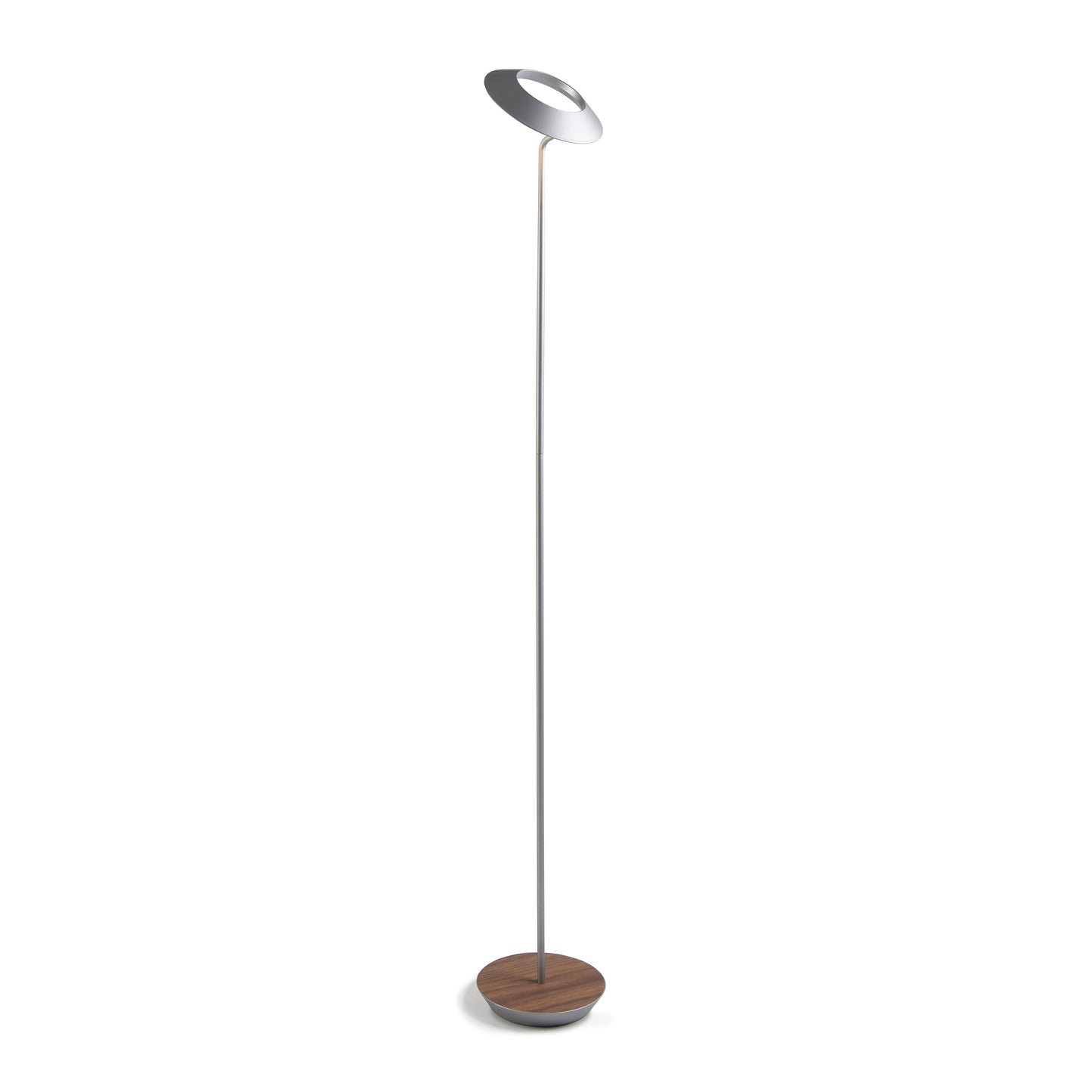 Royyo Floor Lamp