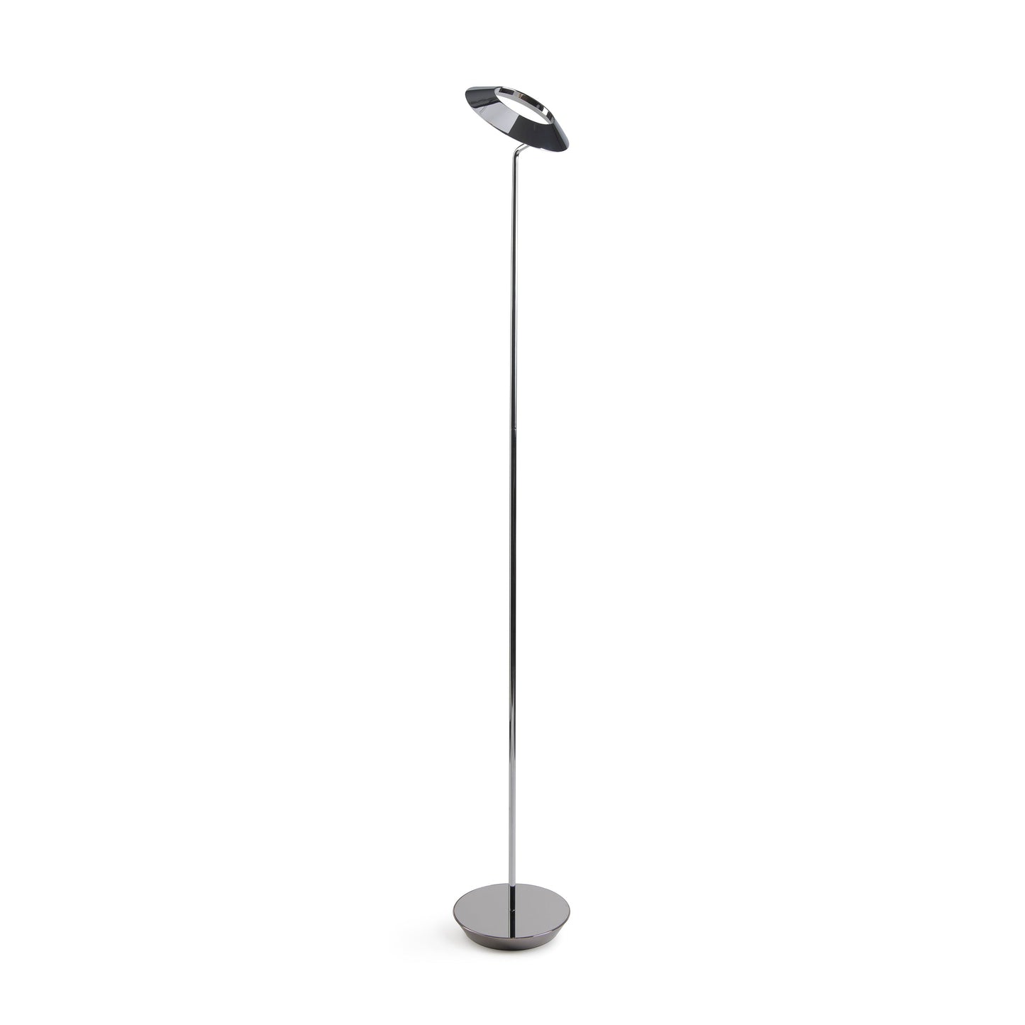 Royyo Floor Lamp