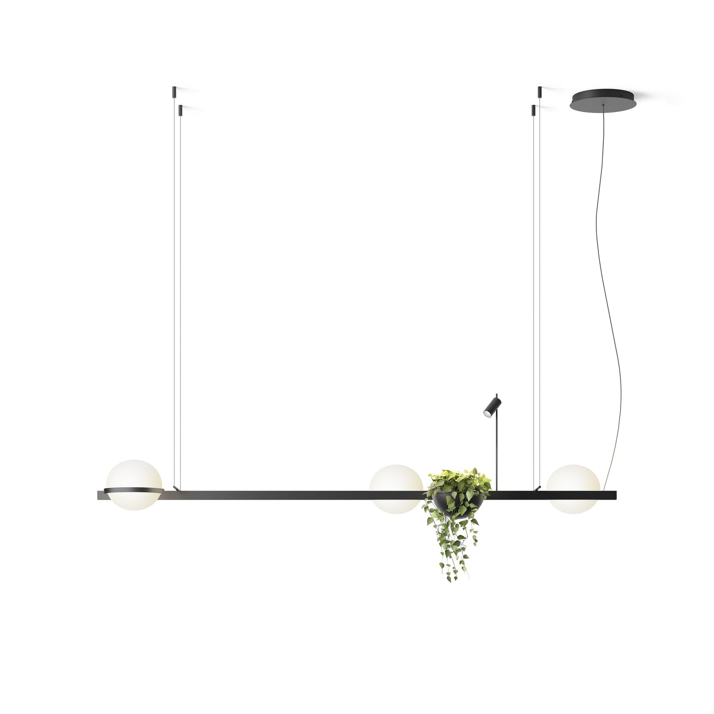 Palma Pendant Light