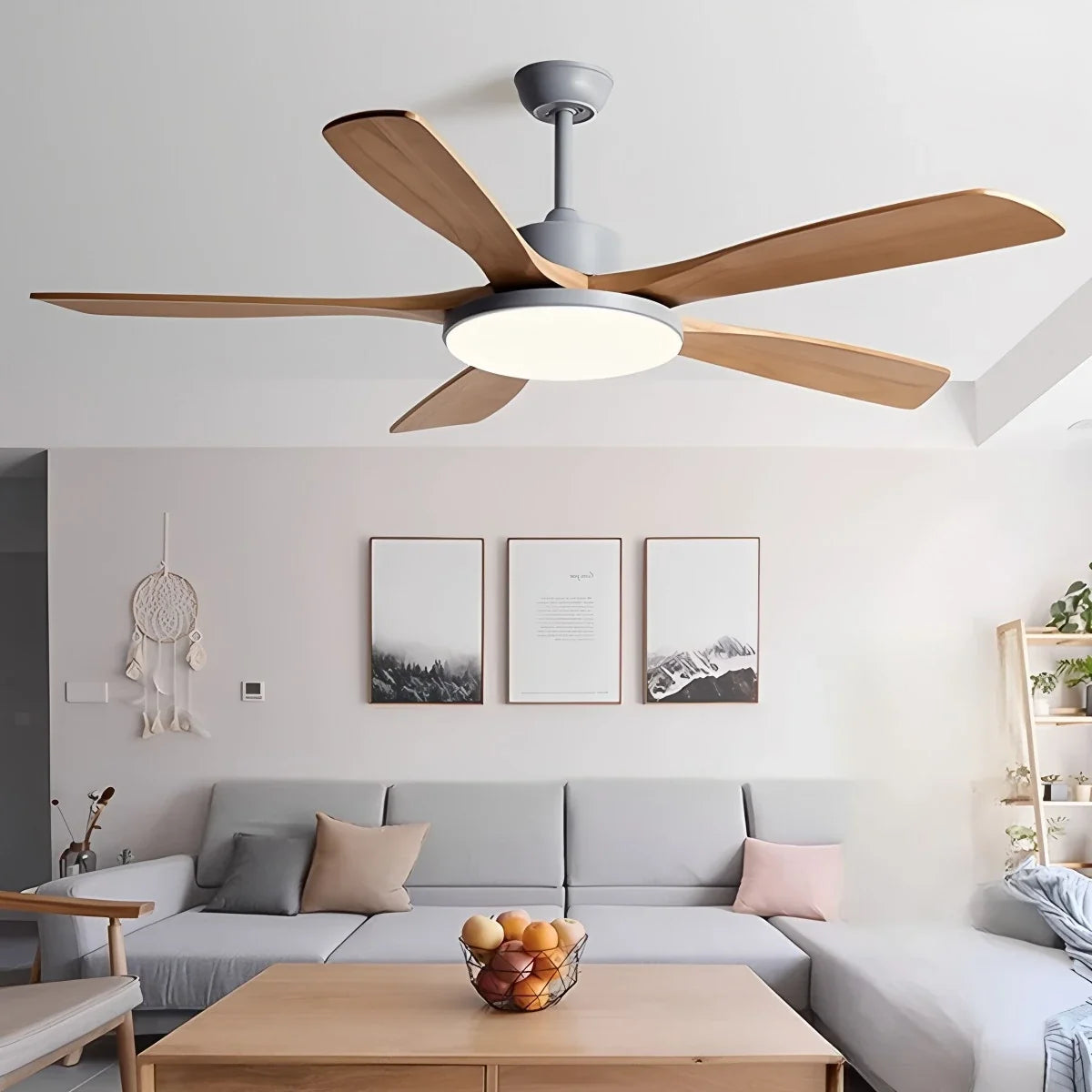 Living Room Minimalist Ceiling Fan with Light