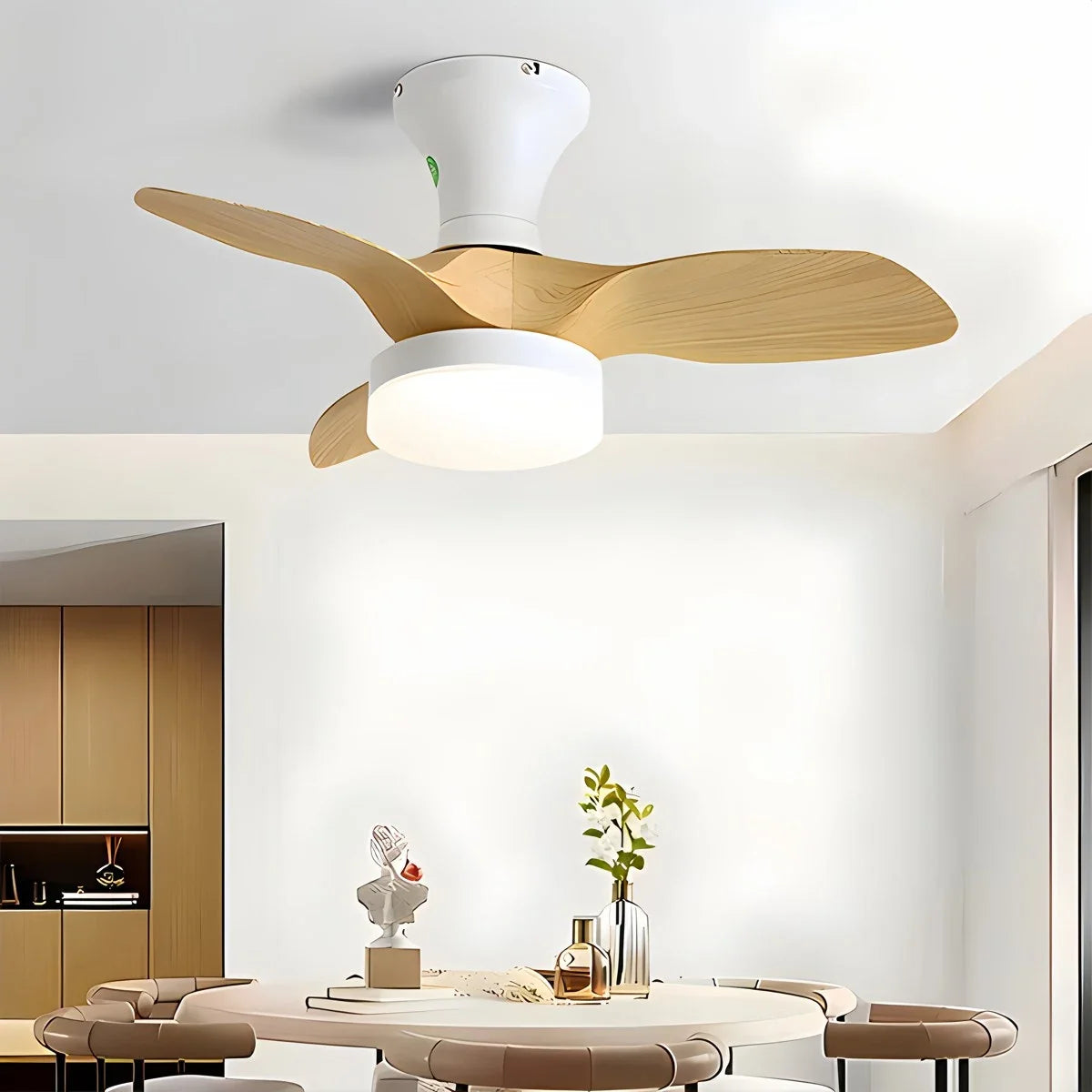 Small Propeller Ceiling Fan With Light