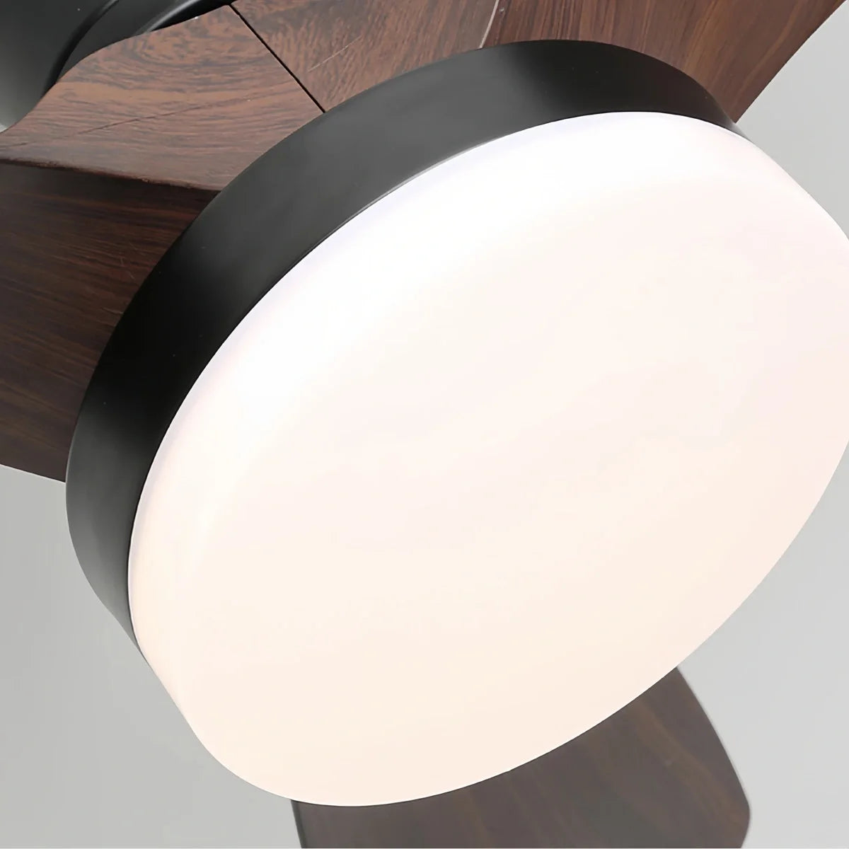 Small Propeller Ceiling Fan With Light
