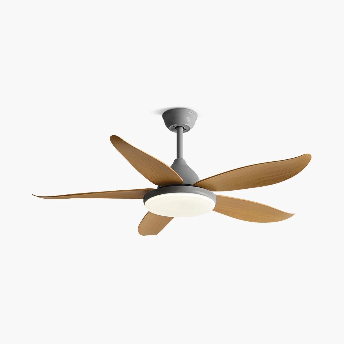 5 Blade Contemporary Ceiling Fan with LED Light
