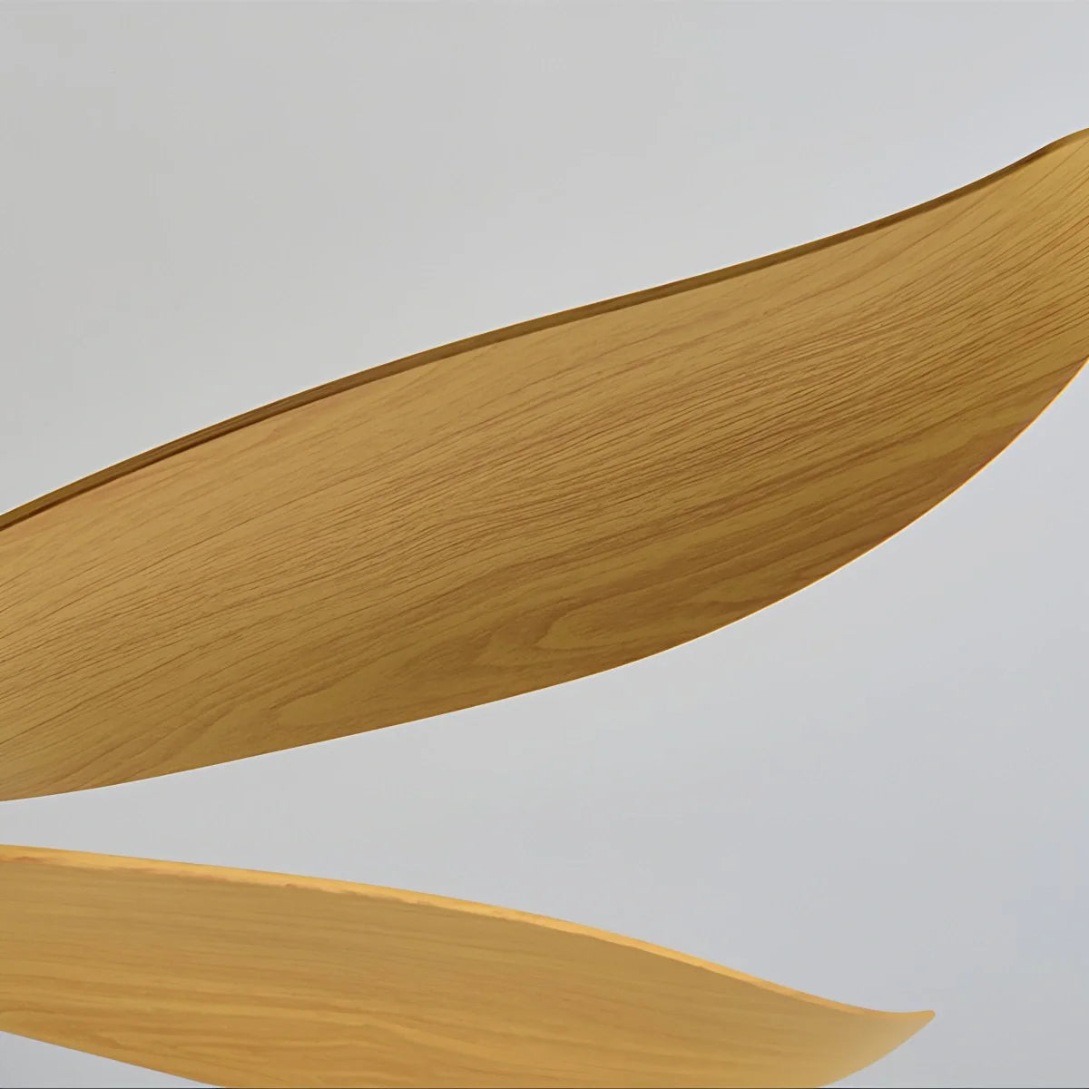 5 Blade Contemporary Ceiling Fan with LED Light