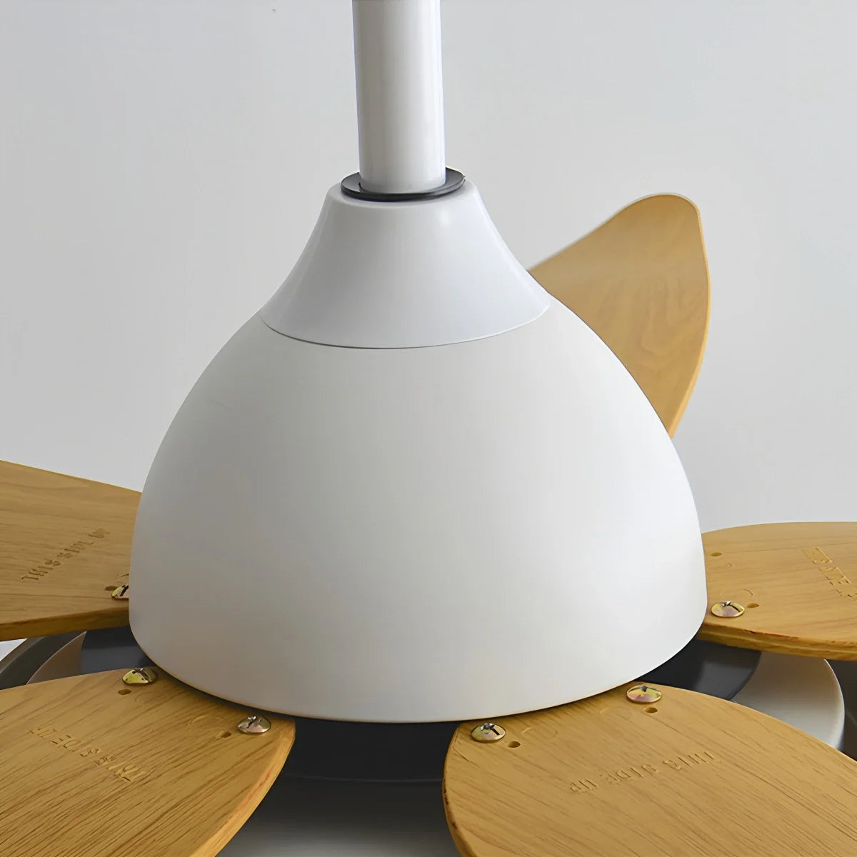 5 Blade Contemporary Ceiling Fan with LED Light