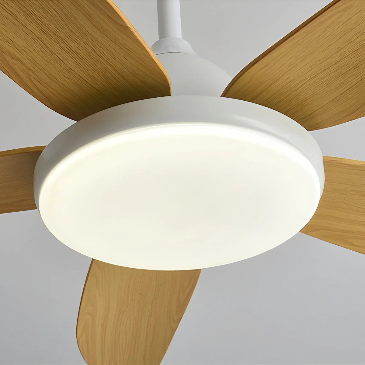 5 Blade Contemporary Ceiling Fan with LED Light
