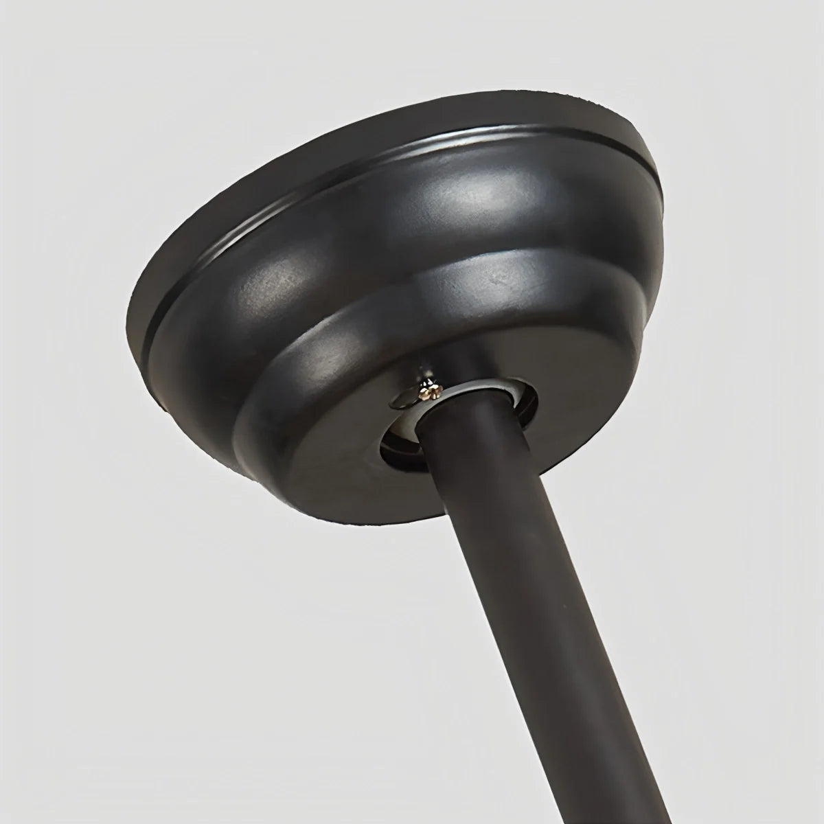 5 Blade Modern Ceiling Fan Lamp for Living Room