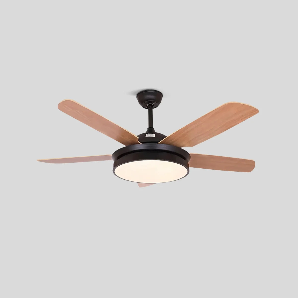 5 Blade Ceiling Fan Light for Living Room
