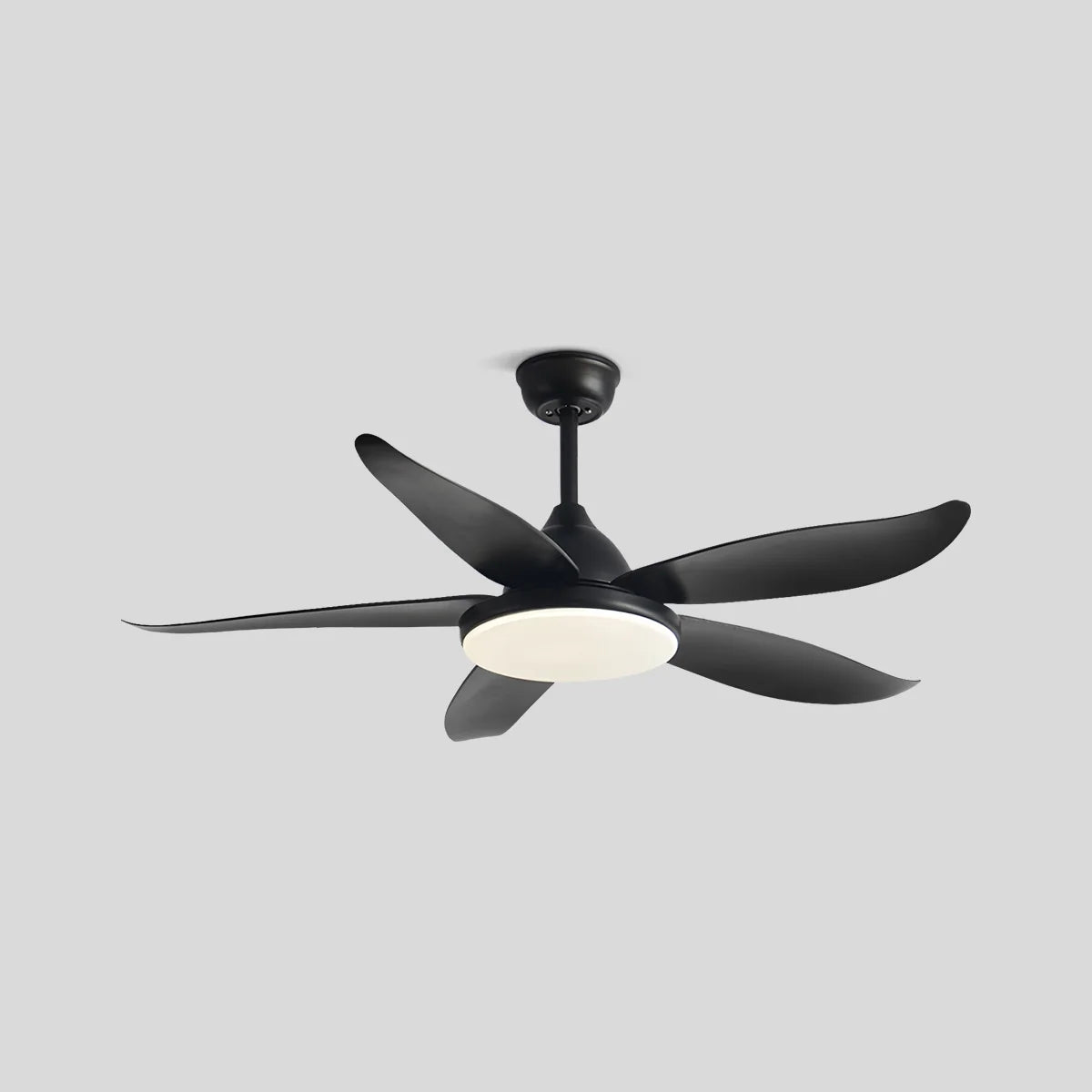 5 Blade Contemporary Ceiling Fan with LED Light