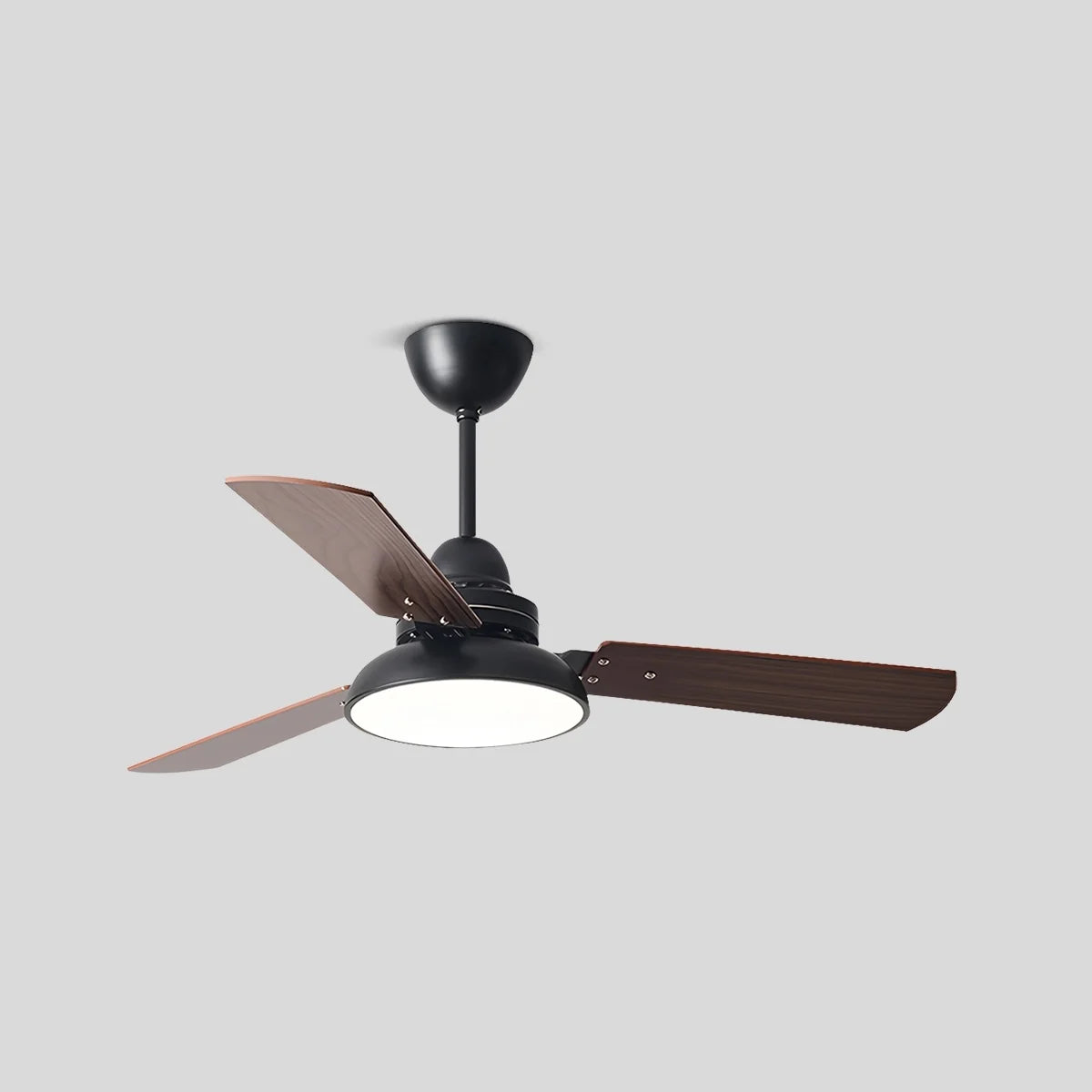Modern Minimalist Three Leaf Ceiling Fan Light