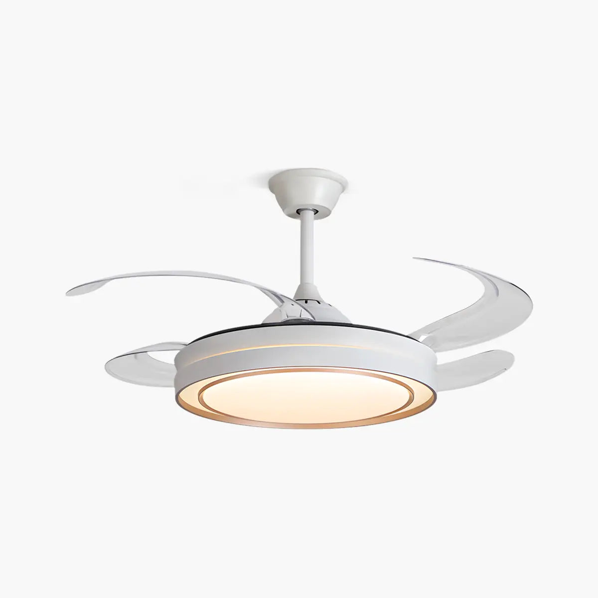 Modern Round Ceiling Fan Light with Remote Control