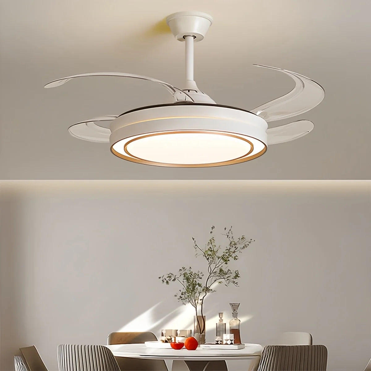 Modern Round Ceiling Fan Light with Remote Control