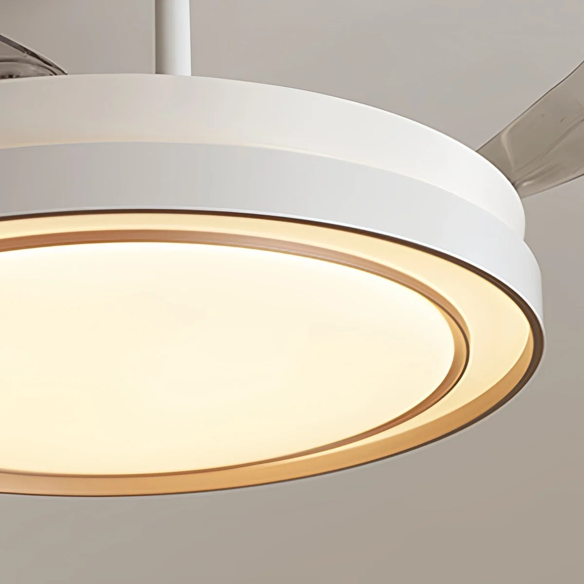Modern Round Ceiling Fan Light with Remote Control