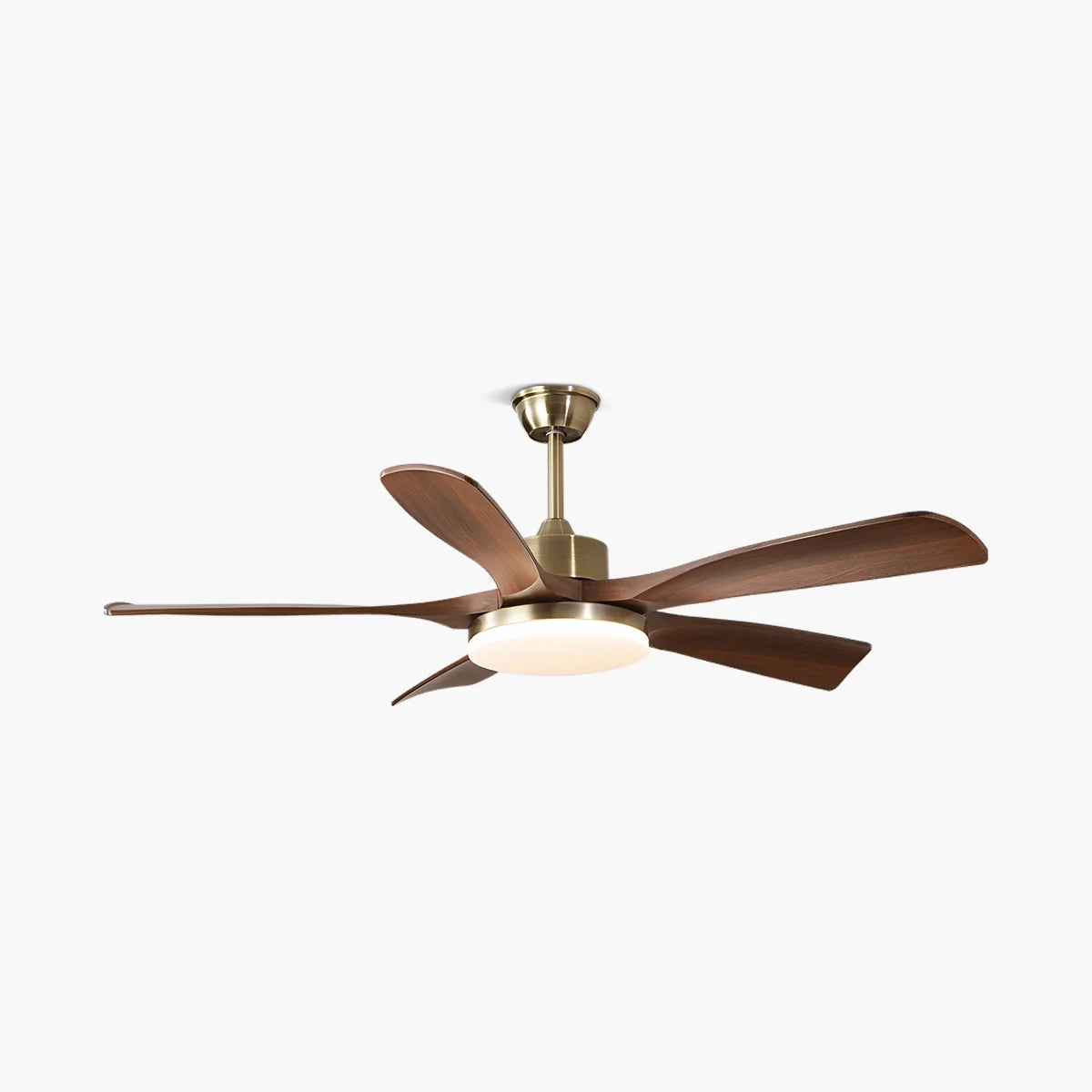 Modern 5-leaf Remote Control Ceiling Fan Light