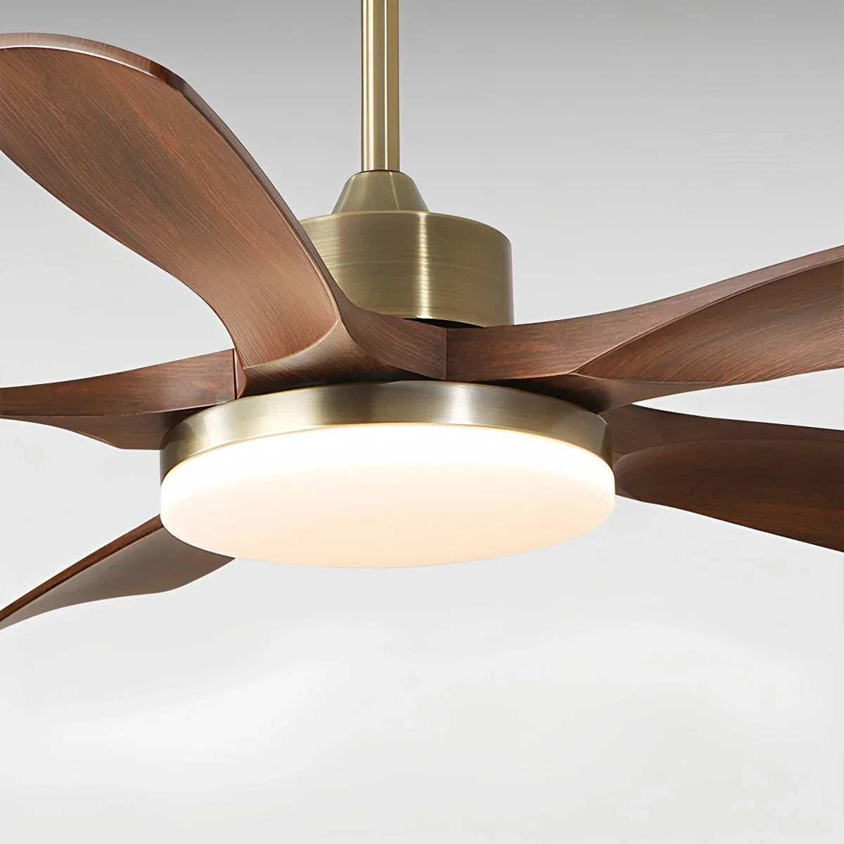 Modern 5-leaf Remote Control Ceiling Fan Light