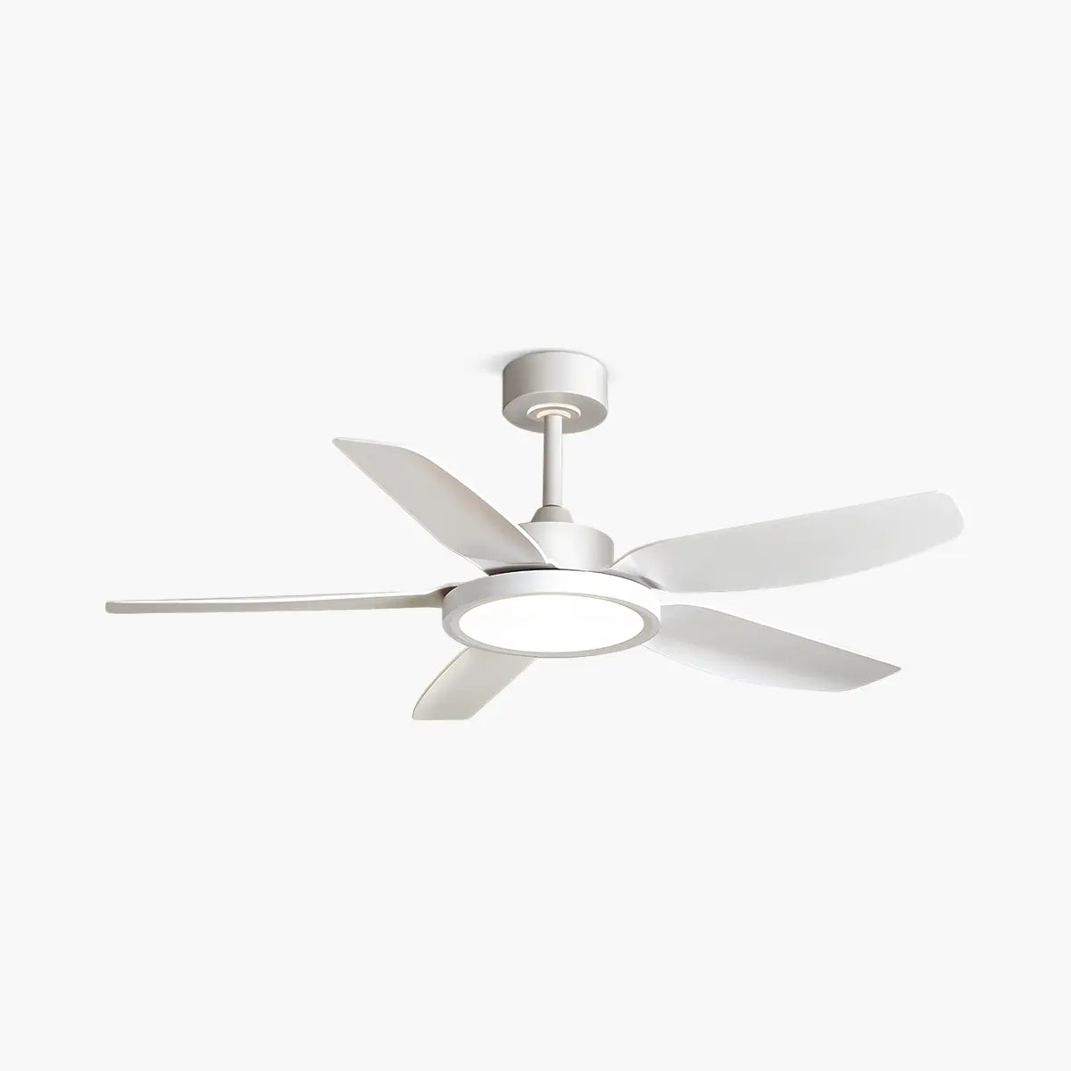 Modern White Ceiling Fans with Lights and Remote