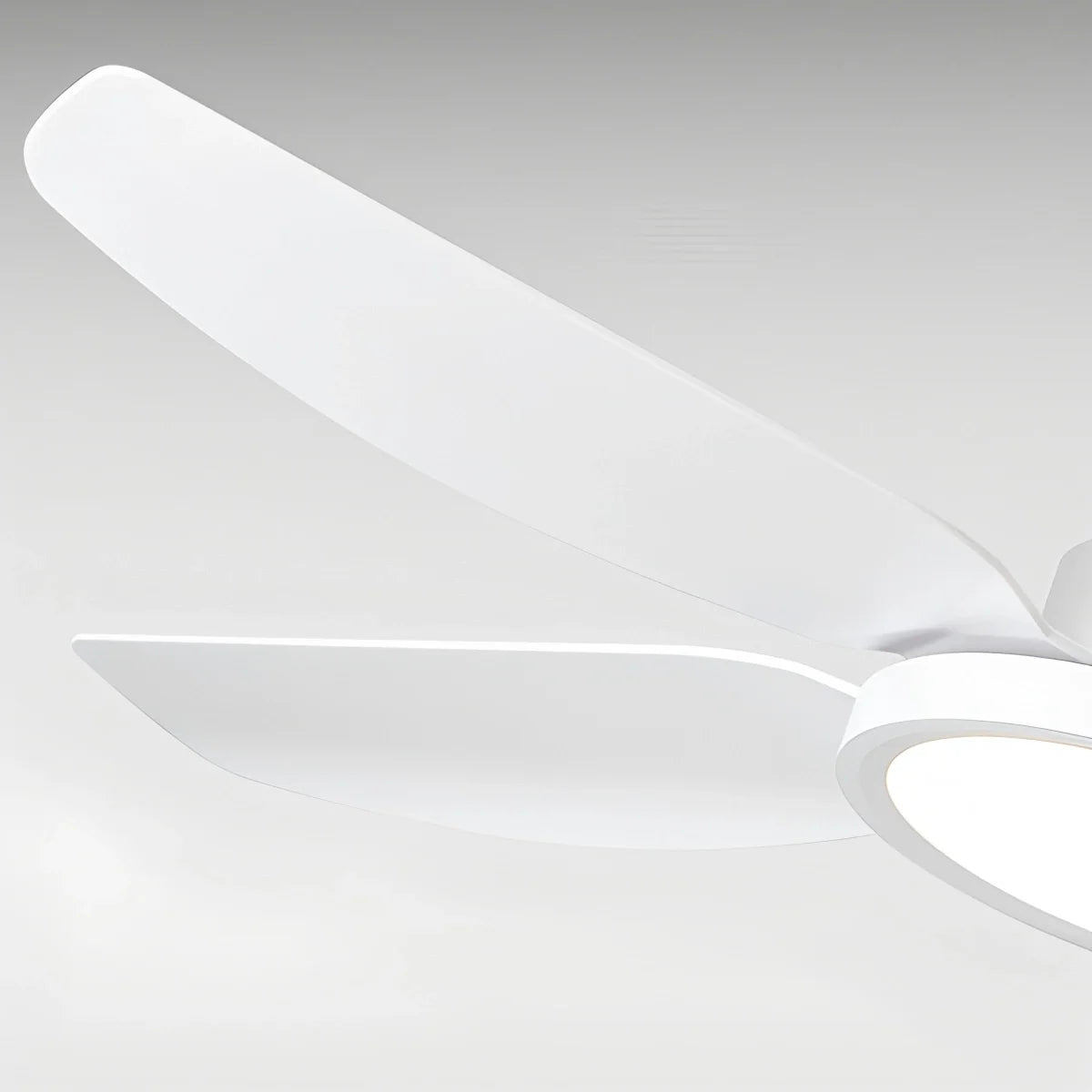 Modern White Ceiling Fans with Lights and Remote