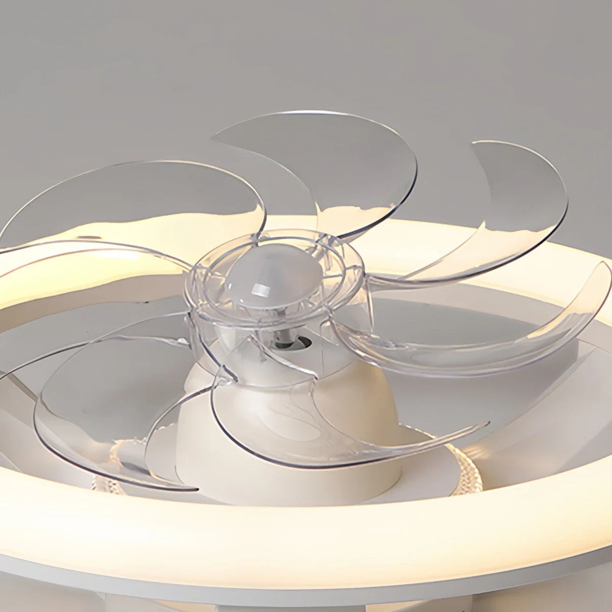 Creative Circular LED Ceiling Fan Light