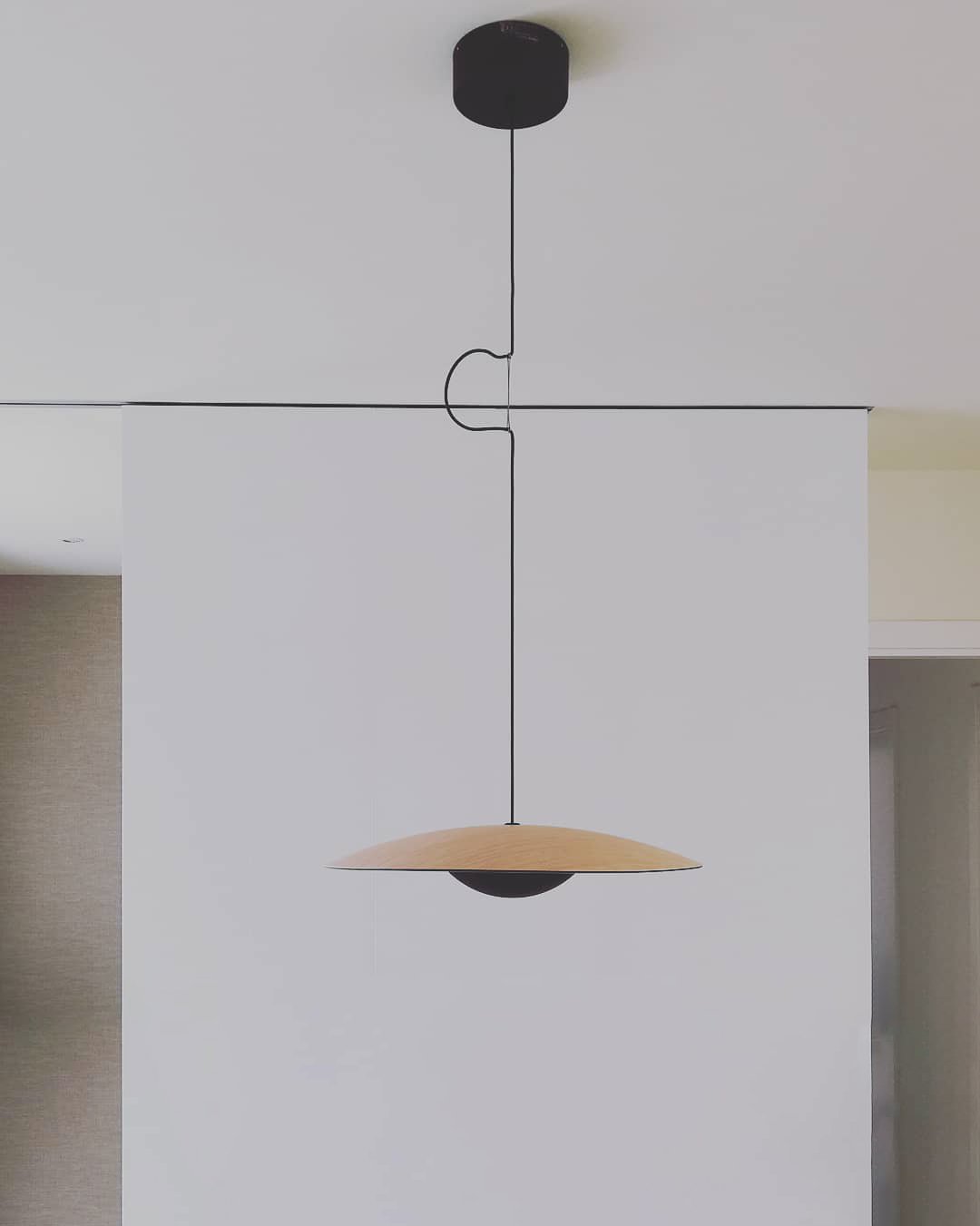 Ginger Pendant light