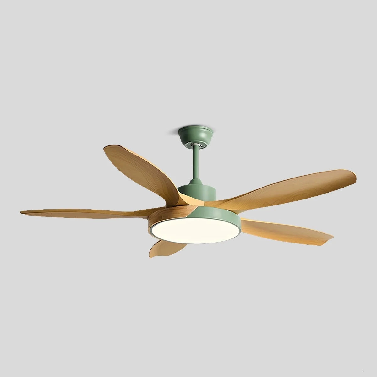 Nordic Living Room Ceiling Fan with Light